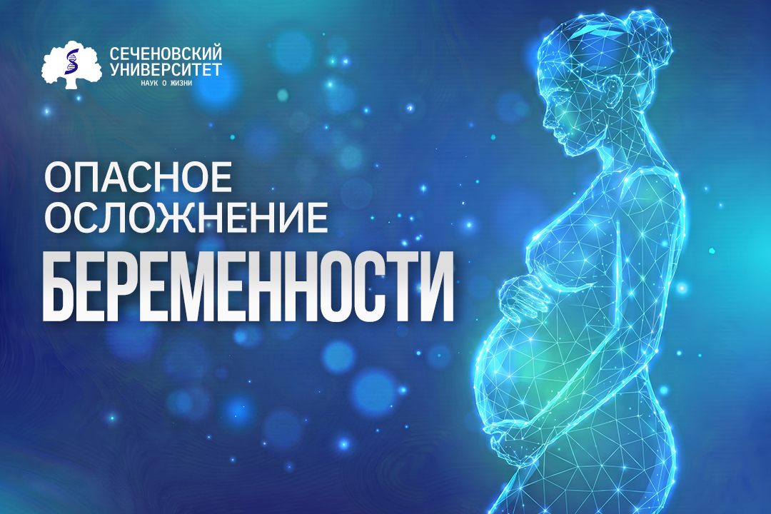Нейрогенный конфликт иммунной системы матери с растущим мозгом плода: ученые Сеченовского Университета нашли причины преэклампсии 