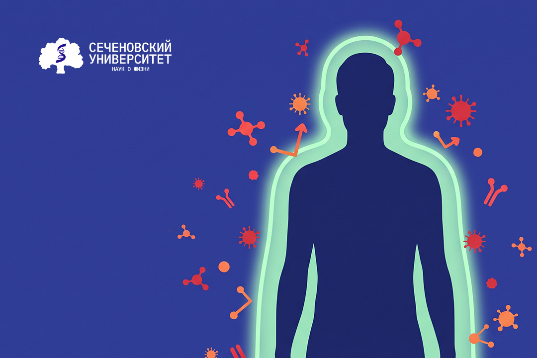 В Сеченовском Университете выяснили, как реакция иммунитета на воспаление меняется с возрастом