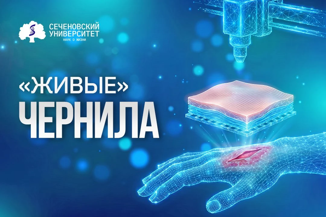 Ученые Сеченовского Университета показали эффективность биопечати для лечения ран