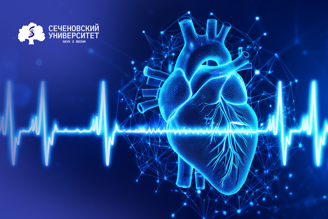 Ученые Сеченовского Университета нашли новый лабораторный маркер тяжести миокардита