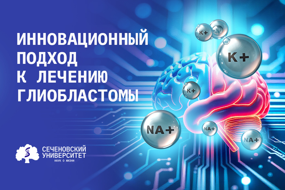 Ученые Сеченовского Университета нашли способ преодолеть устойчивость глиобластомы к темозоломиду