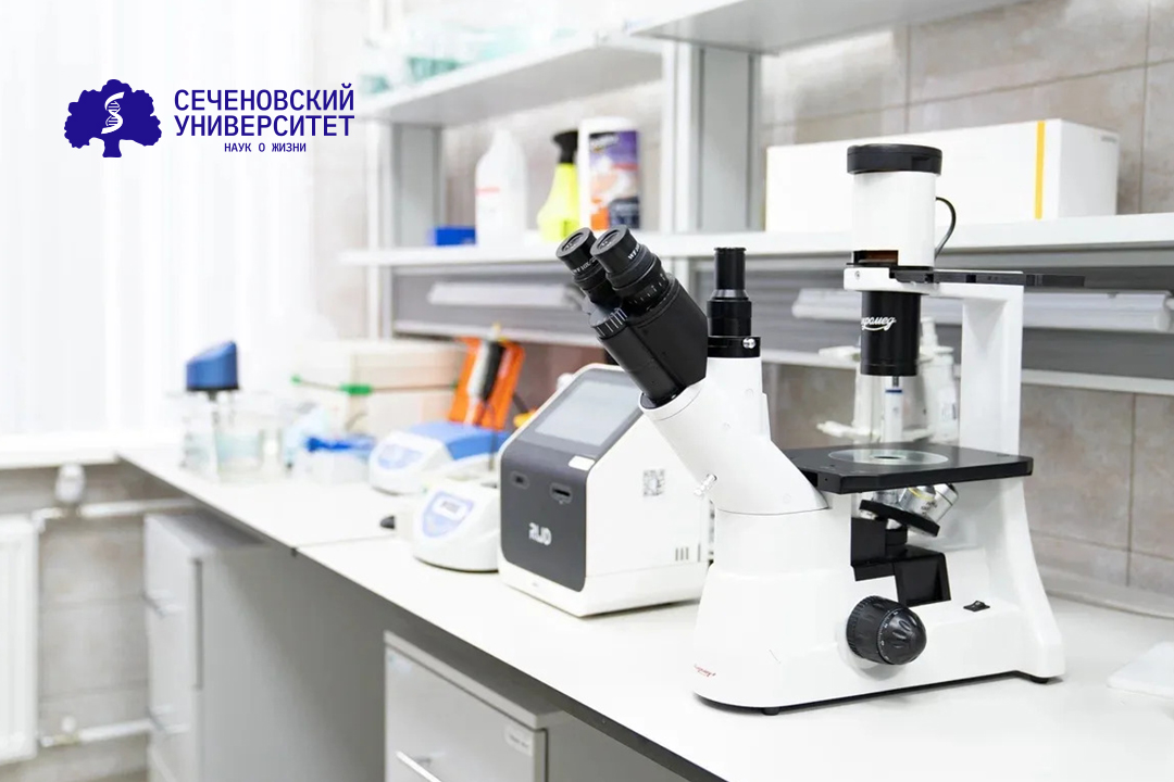 Ученые Сеченовского Университета выяснили, как меняются механические свойства клеток при раке молочной железы