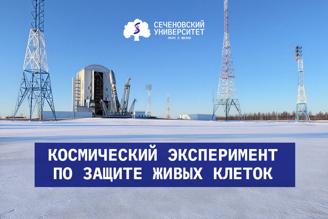 Сеченовский Университет принял участие в космическом эксперименте по защите живых клеток
